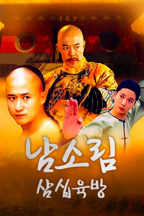 36th Chamber of Southern Shaolin poster 4