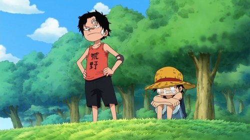 One Piece - 503. Bölüm