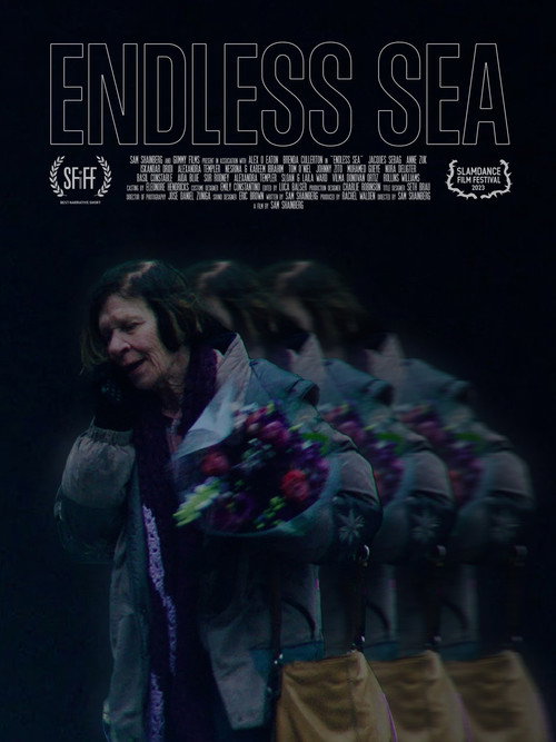 Endless Sea poster 2
