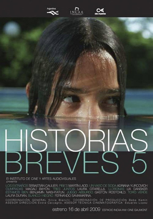 Short Stories 5 poster 2
