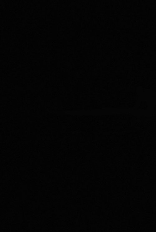 Night of Hunt