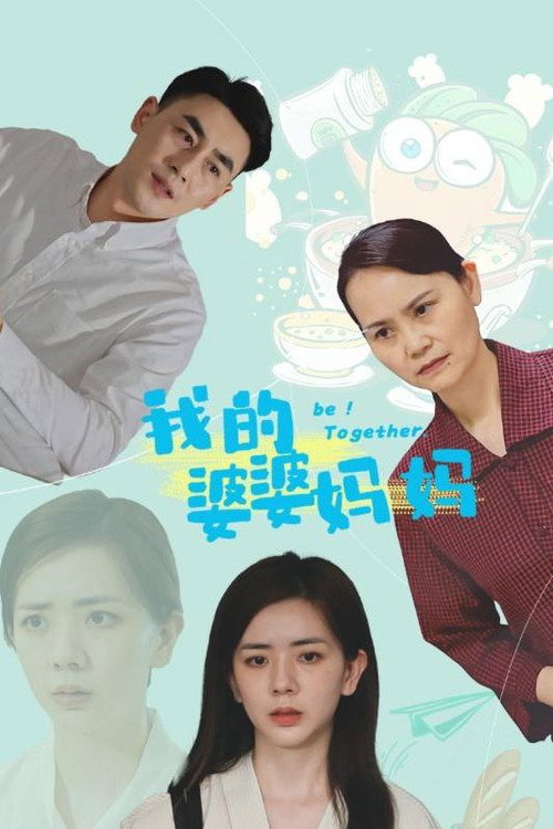 我的婆婆妈妈电影海报