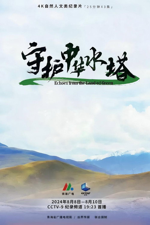 守护中华水塔电影海报