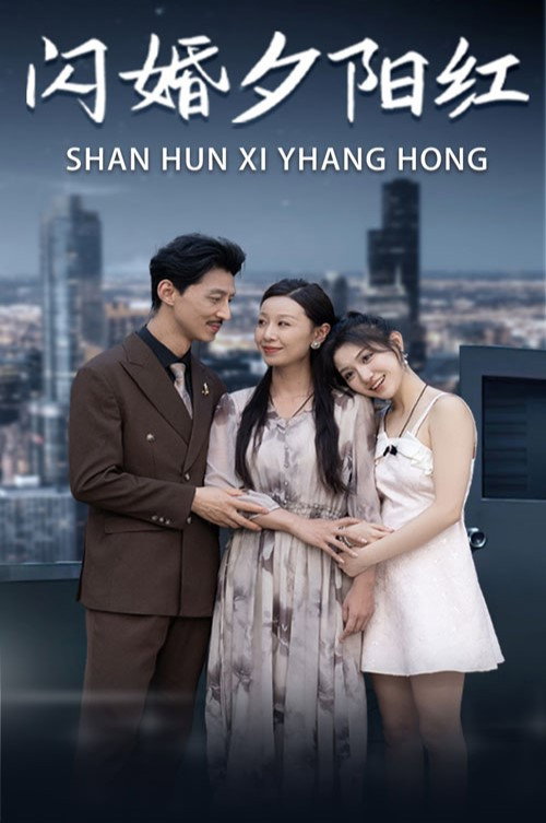 闪婚夕阳红电影海报
