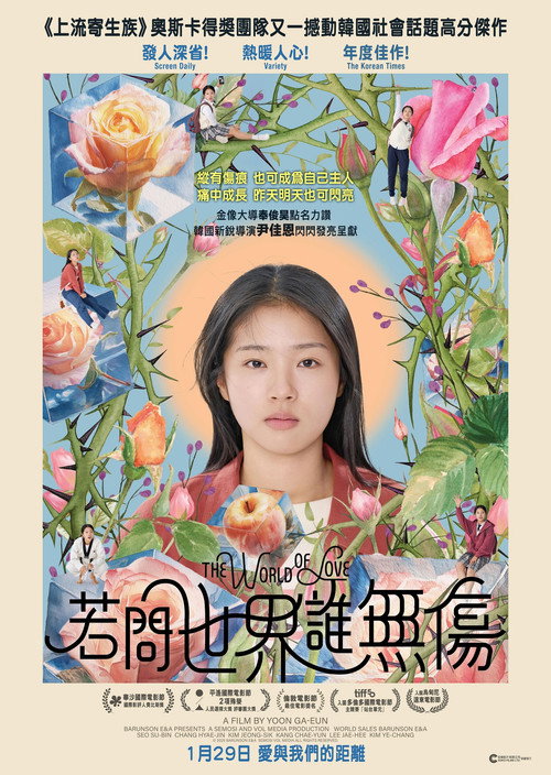 世界的主人电影海报