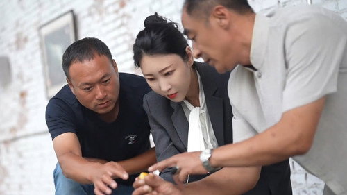 我和我的松树村第1季第13集