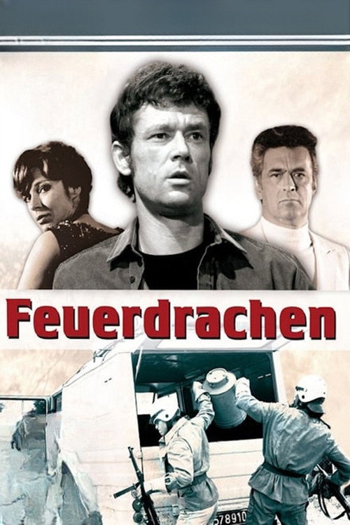 Feuerdrachen poster 2