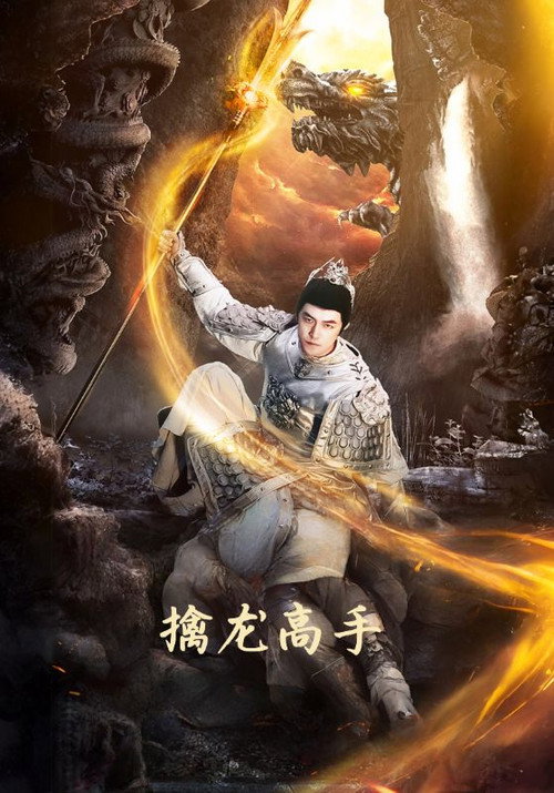 擒龙高手电影海报