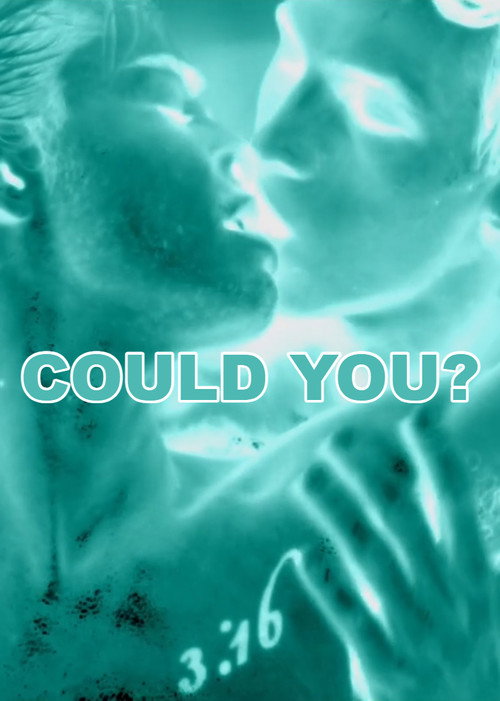 Could You? poster 2