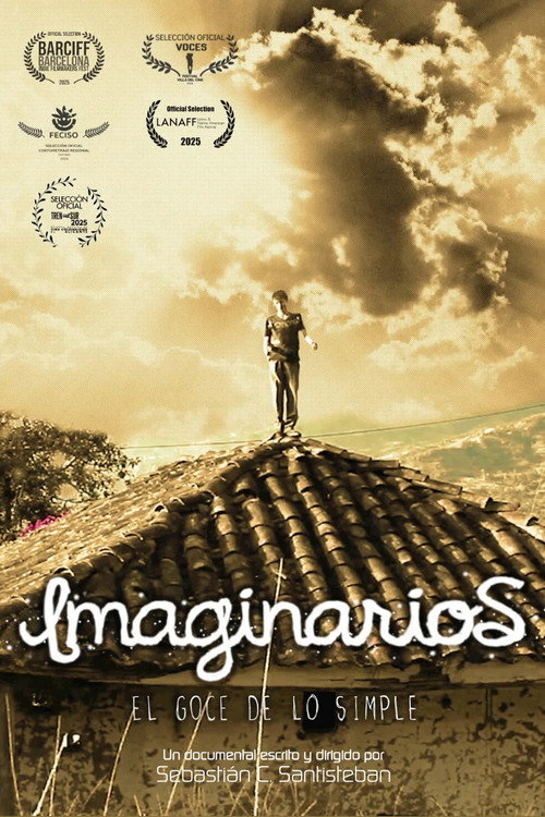 2013: Imaginarios, el goce de lo simple