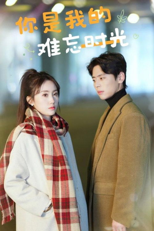 你是我的难忘时光电影海报