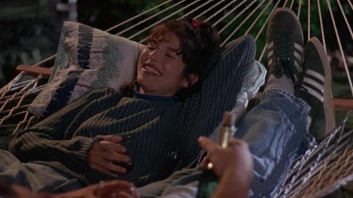 Nadie es perfecto 1996 PelÃcula completa