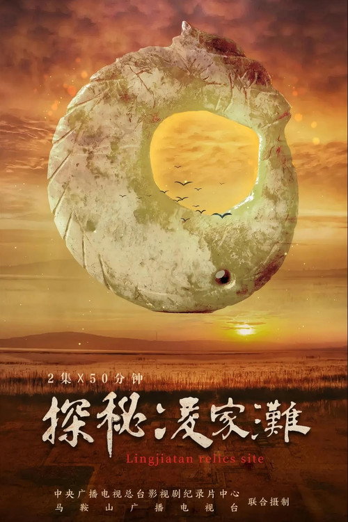 探秘凌家滩电影海报