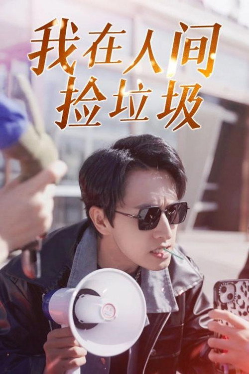 我在人间捡垃圾电影海报