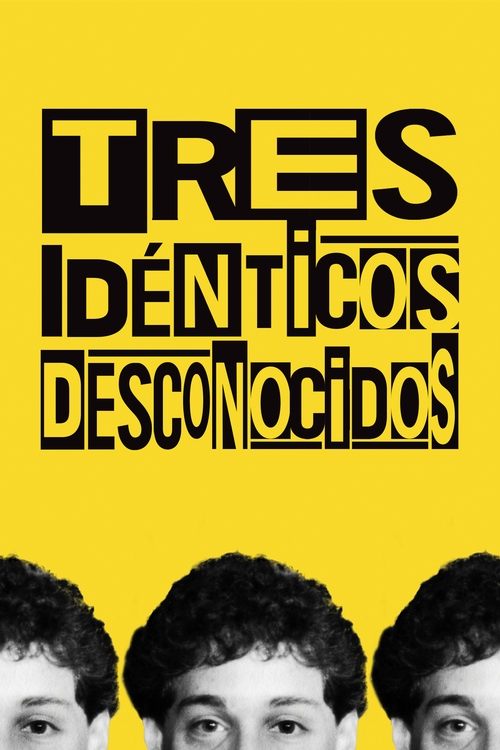 Tres idénticos desconocidos (2018) PelículA CompletA 1080p en LATINO espanol Latino