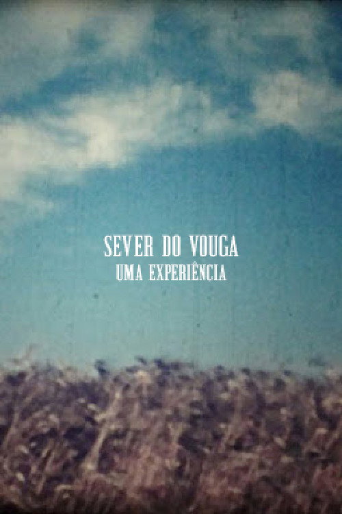 Sever do Vouga... Uma Experiência poster 3
