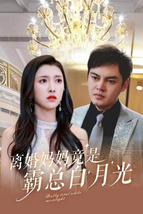 离婚妈妈竟是霸总白月光海报