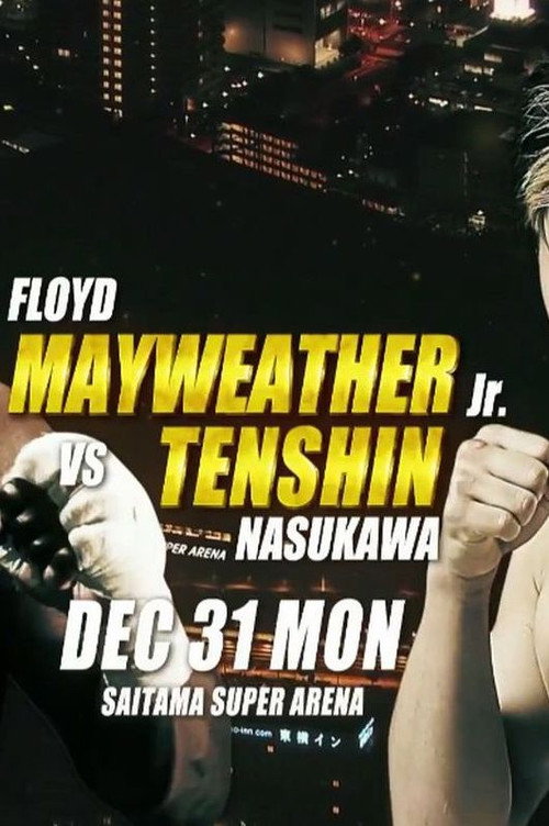 RIZIN 14 poster 3