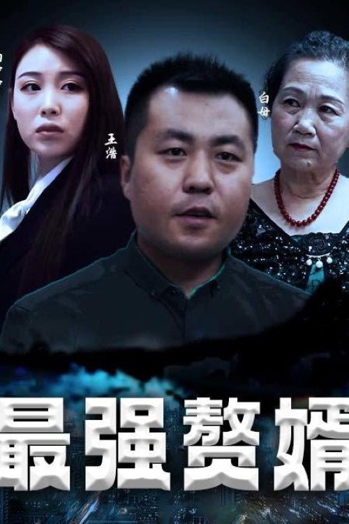 最强赘婿海报