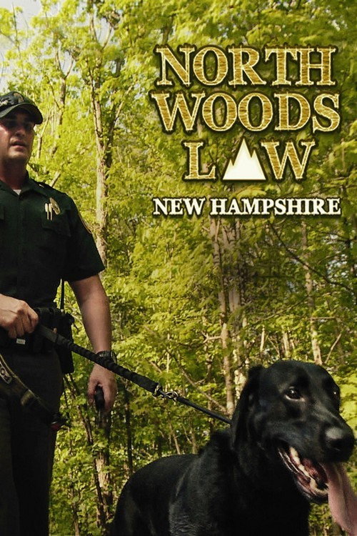 LA LOI DE NORTH WOODS NEW HAMPSHIRE电影海报