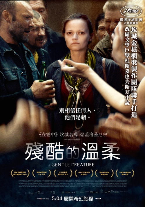 温柔女子电影海报