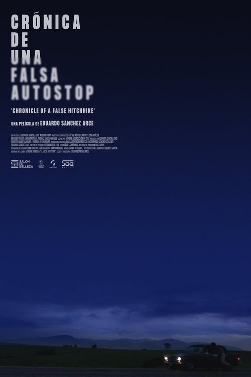 Chronicle of a False Hitchhike Poster