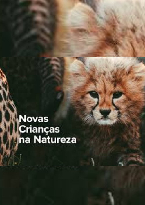 Novas Crian&ccedil;as da Natureza电影海报