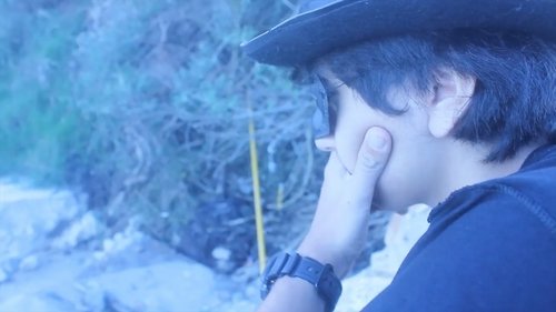 Sisu: Um Caso de Determinação Diante da Adversidade (2017) Ver Pelicula Completa Streaming Online