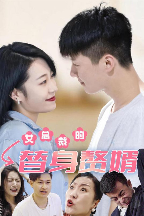 女总裁的替身赘婿电影海报