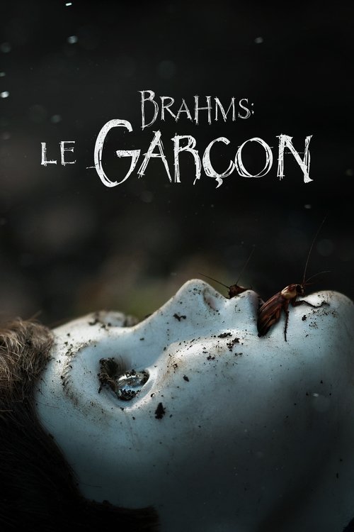 [REGARDER VOSTFR] The Boy : La malédiction de Brahms ~ 2020 en Vf Stream Gratuit
