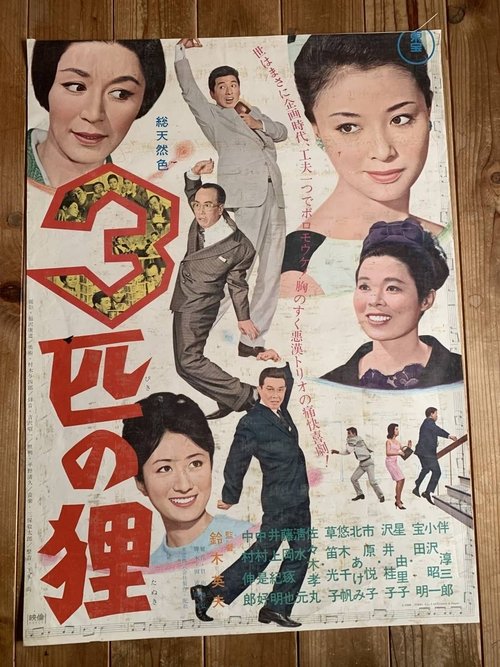 3 Raccoon Dogs Poster