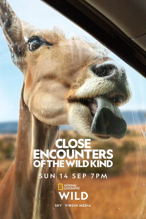 Close Encounters of the Wild Kind电影海报