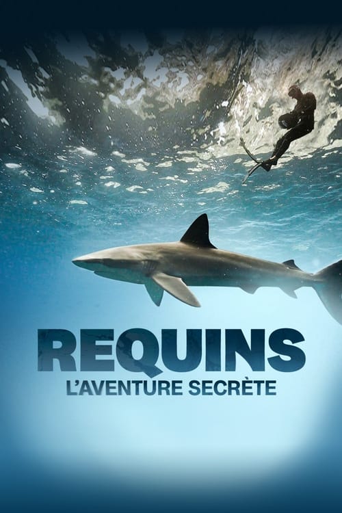 Sharks%3A+The+Secret+Adventure
