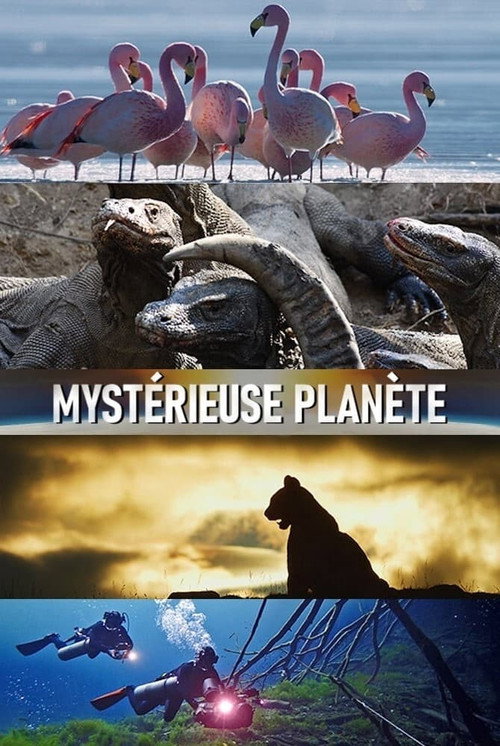 Mysterious Planet poster 3