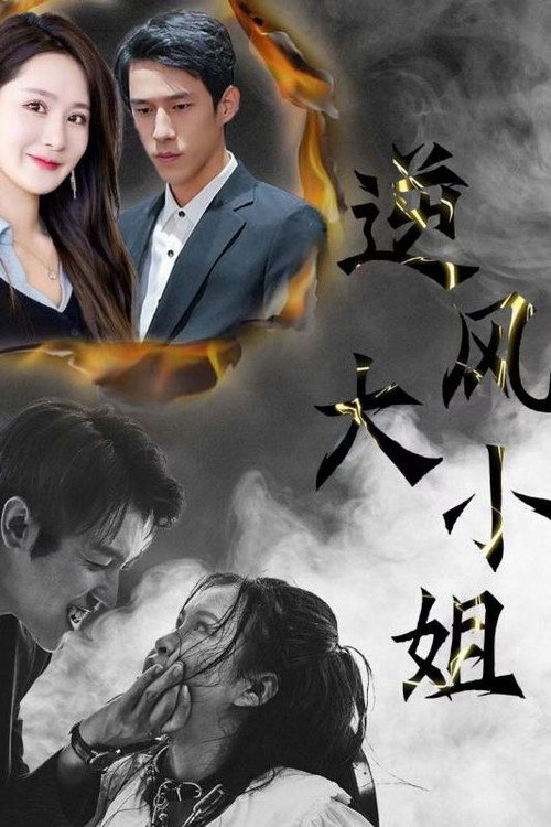 逆风大小姐海报