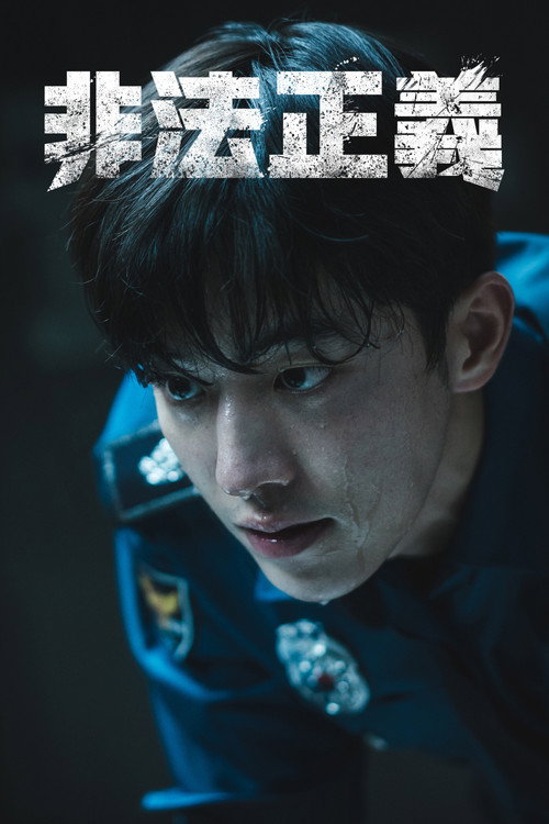 非法正义电影海报