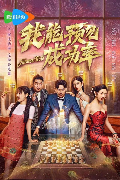 我能遇见成功率电影海报