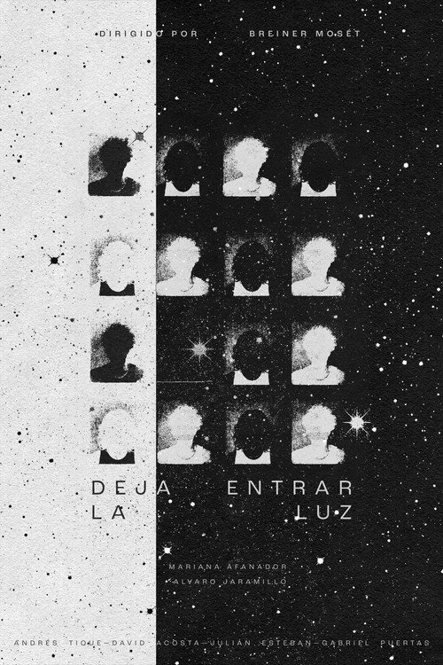 Poster for Let The Light In