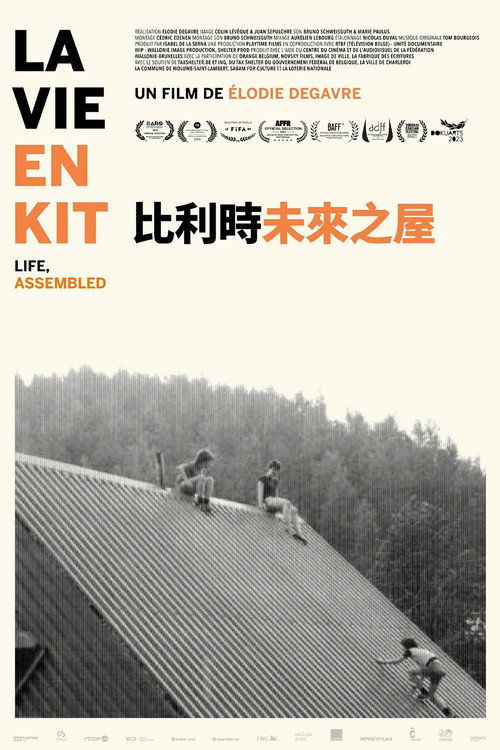 La vie en kit电影海报