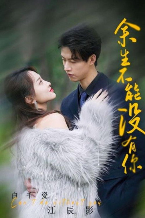 余生不能没有你电影海报