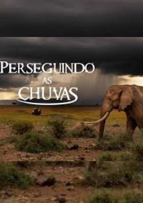 Perseguindo as Chuvas电影海报