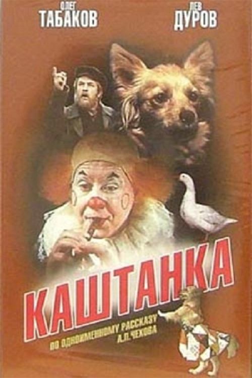 Kashtanka 1975