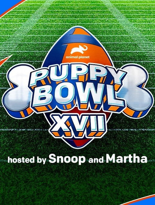 Puppy Bowl XVII Poster