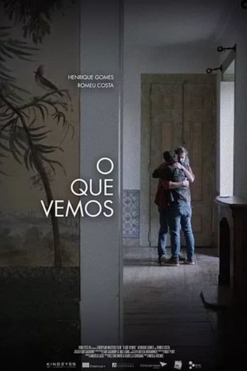 What We See Poster
