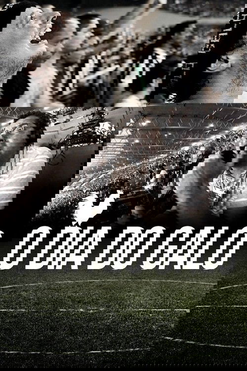 O Dia do Galo