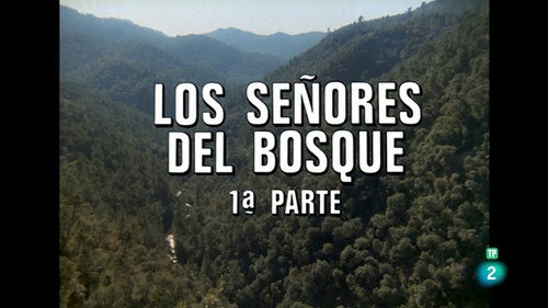 The Lords of the Forest I
