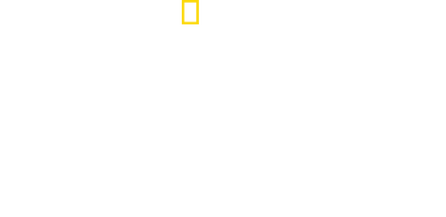movies