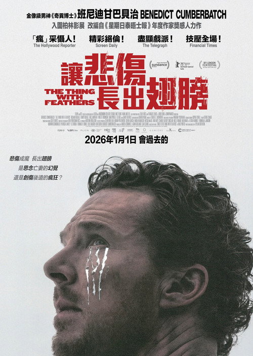 长翅膀的东西电影海报