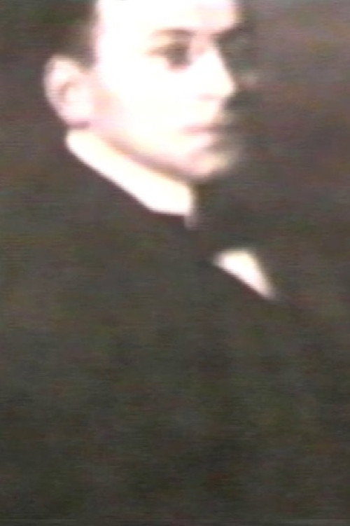 Lei &egrave; Karl Kraus, vero? (Plagium 15)电影海报