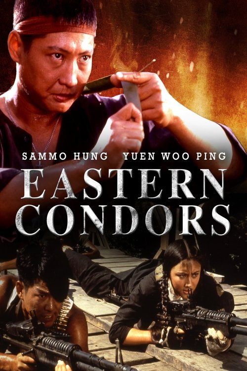 Eastern Condors (1987) Film Complet en Francais